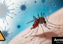 Chikungunya Virus का आतंक चीन में दवा लेने के लिए अब नाम दर्ज करना ज़रूरी Chikungunya virus outbreak in China, medicine now requires registration.