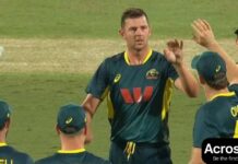 AUS vs SA 3rd T20I: ऑस्ट्रेलिया ने 2-1 से सीरीज जीती AUS vs SA 3rd T20I: Australia wins series 2-1