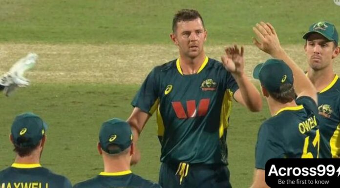 AUS vs SA 3rd T20I: ऑस्ट्रेलिया ने 2-1 से सीरीज जीती AUS vs SA 3rd T20I: Australia wins series 2-1