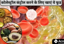 गुड कोलेस्ट्रॉल बढ़ाने वाले 5 फूड्स – अपनी डाइट में आज ही शामिल करें Healthy foods to boost good cholesterol (HDL) naturally